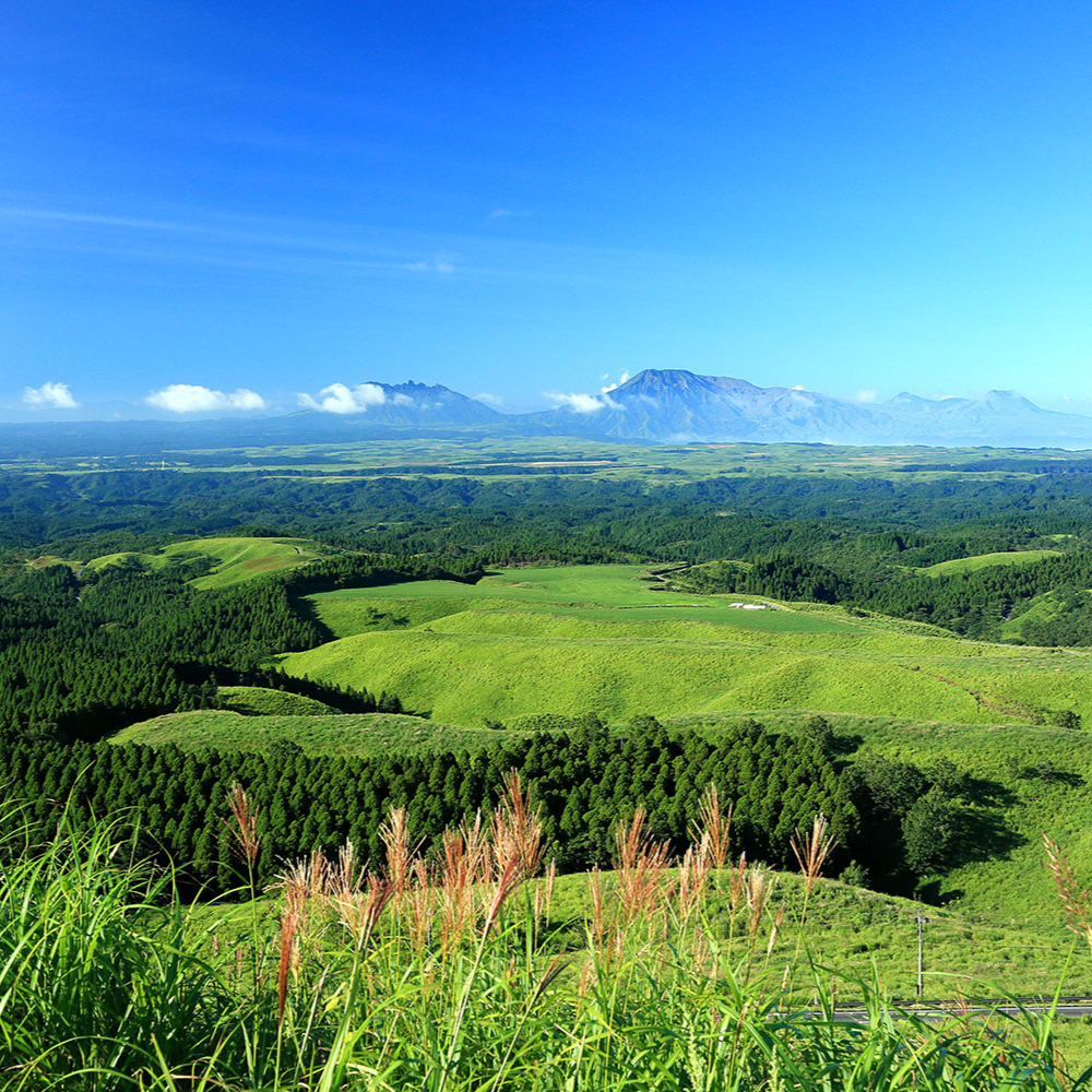 9KOS Candle HINOKI & VOLCANO from Aso, KUMAMOTO