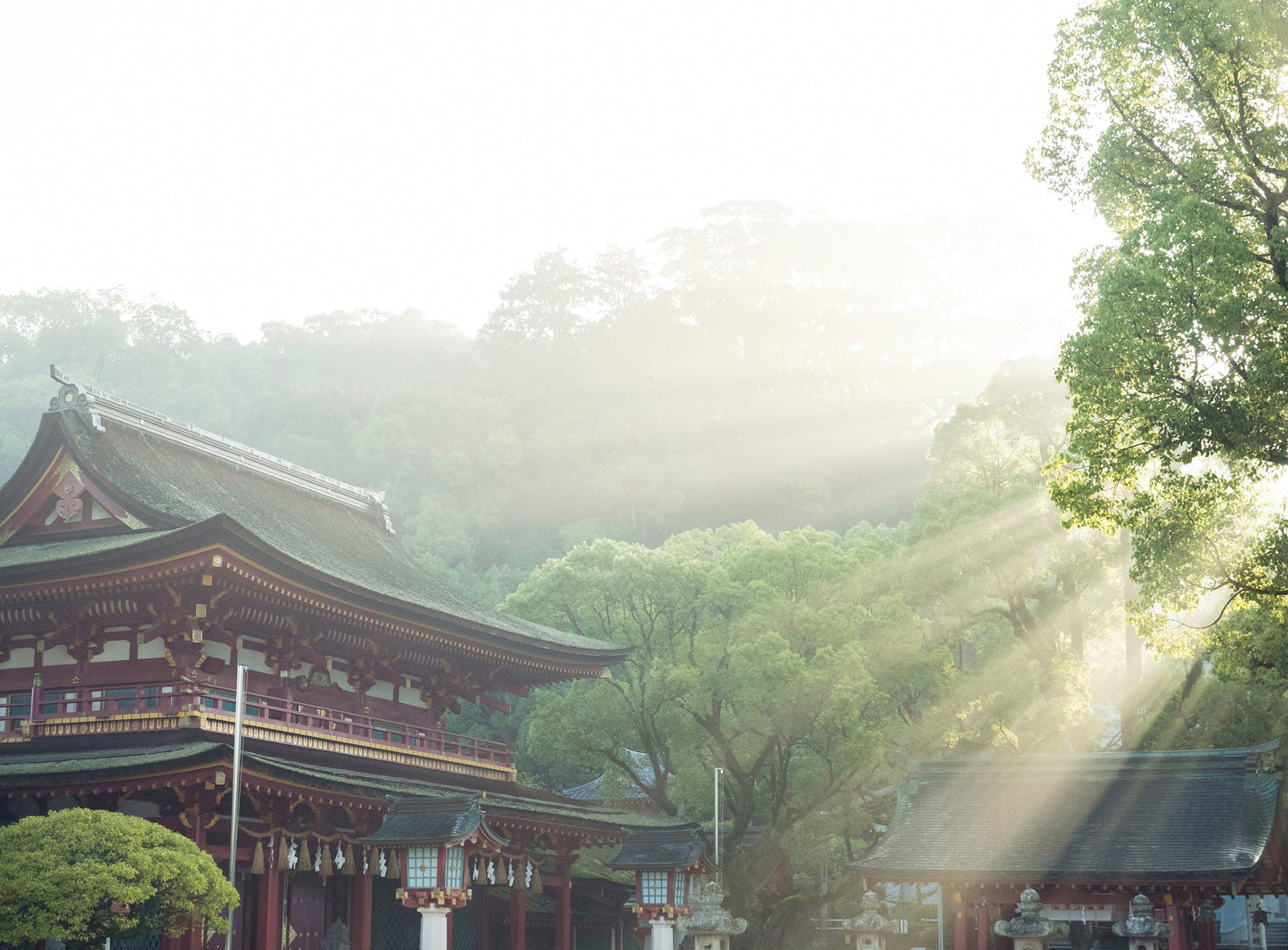 9KOS Candle UME & CEDARWOOD from Dazaifu, FUKUOKA